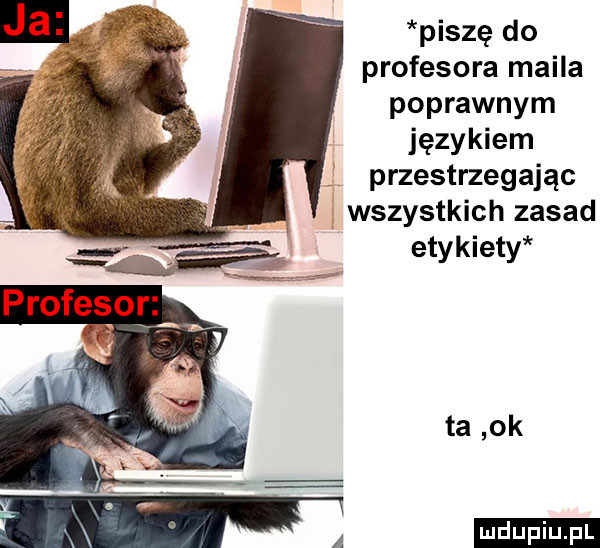 piszę do profesora maila poprawnym językiem przestrzegając wszystkich zasad etykiety ta ok ludu iu. l