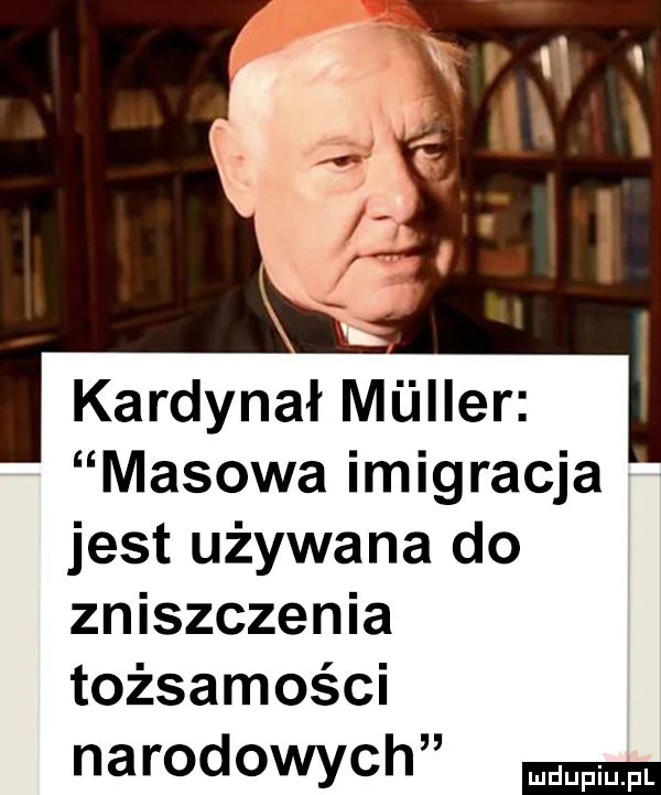 kardynał miiller ł masowa imigracja jest używana do zniszczenia tożsamości narodowych