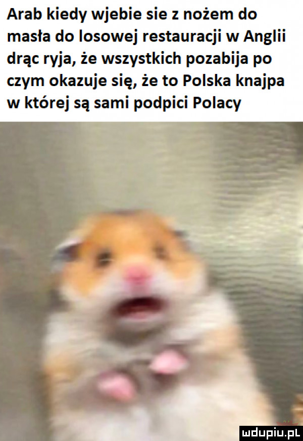 arab kiedy wjebie sie nożem do masła do losowej restauracji w anglii drąc ryja że wszystkich pozabija po czym okazuje się że to polska knajpa w której są sami podpici polacy