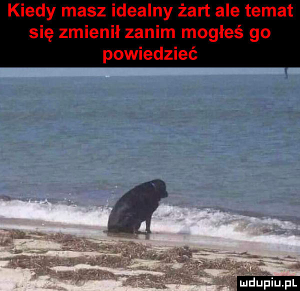 kiedy masz idealny żart ale temat się zmienił zanim mogłeś go powiedzieć