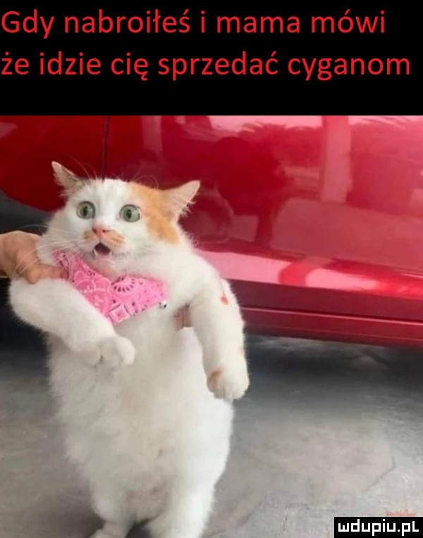 gdy nabroiłeś i mama mówi że idzie cię sprzedać cyganom fj. i i