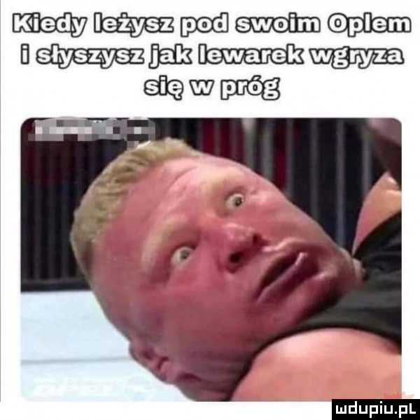 upiu pl