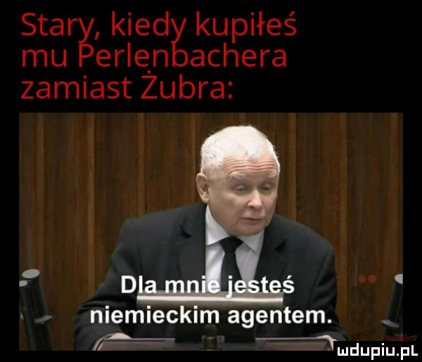 star kred kupiłeś mu erlan achera zamiast zubra. d niemieckim agentem