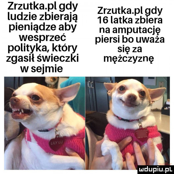 zrzu tka pl gd y zrzutka l d lu dz e zbierają    latka ęblgerg plemądze aby na amputację wesprzeć piersi bo uważa polityka ktory się za zgasił świeczki mężczyznę w sejmie