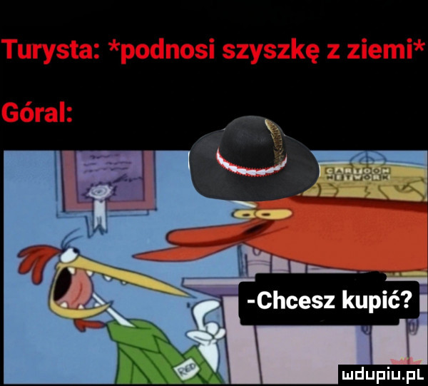 Obrazek