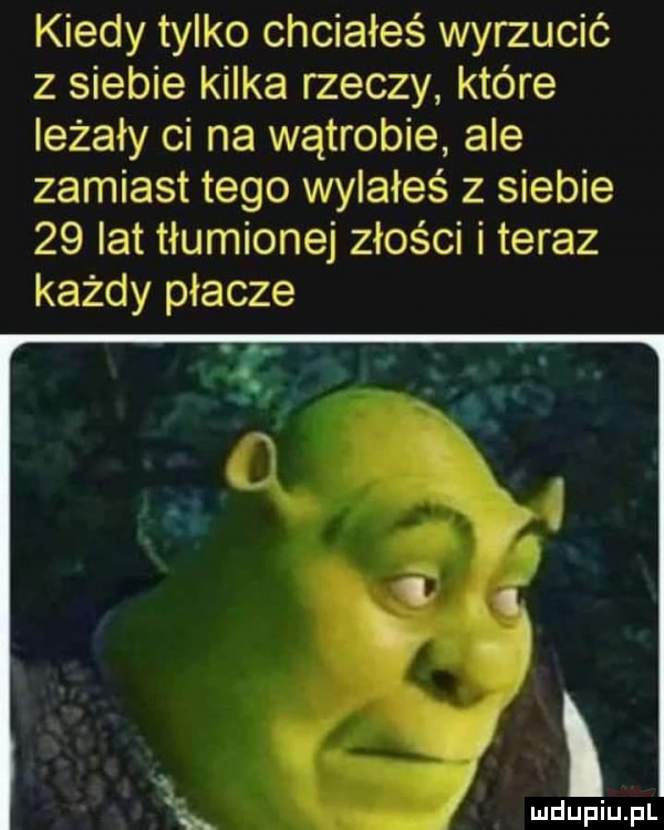 kiedy tylko chciałeś wyrzucić z siebie kilka rzeczy które leżały ci na wątrobie ale zamiast tego wylałeś z siebie    lat tłumionej złości i teraz każdy płacze i