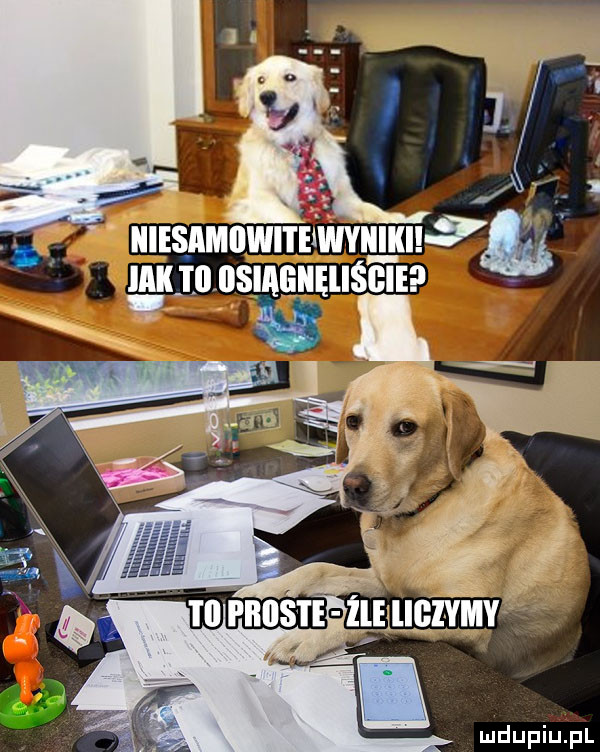 manmwnﬁﬁvmn ękiiibsiageęliśgie i