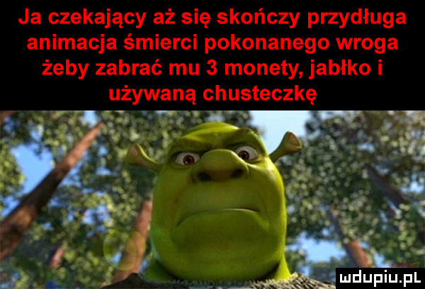 ja czekający aż się skończy przydługa animacja śmierci pokonanego wroga żeby zabrać mu   monety jabłko i używaną chusteczkę t