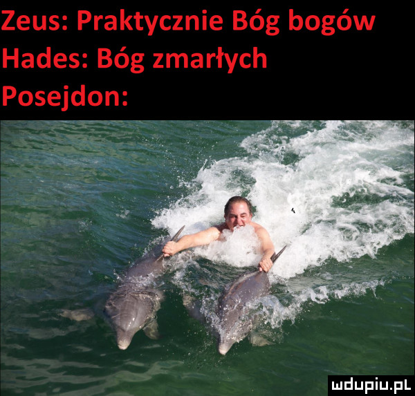 zeus praktycznie bóg bogów hades bóg zmarłych posejdon