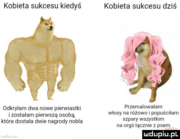 kobieta sukcesu kiedyś igi. j odkryłam dwa nowe pierwiastki i zostalam pierwszą osobą która dostała dwie nagrody nobla kobieta sukcesu dziś przemalowałam wlosy na różowo popuścliam szpary wszystkim na omgli iącznie z psem