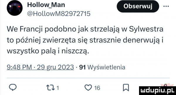 hollow man hollowm         we francji podobnojak strzelają w sylwestra to później zwierzęta się strasznie denerwują i wszystko palą i niszczą.      pm    gru         wyświetlenia o u  w mm