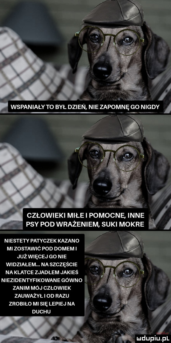 j zz wspaniały to był dzien nie zapomnę go nigdy l czlowieki mile i pomocne. inne. psy pod wrażeniem suki mokre niestety pateczek kazano  . i ml zostawic pod domem i już więcej go nie widziałem. na szczęście na klatce zjadłem jakieś niezidentyfikowane gowno zanim moj czlowiek zauważali od razu zrobilo mi się lepiej na duchu