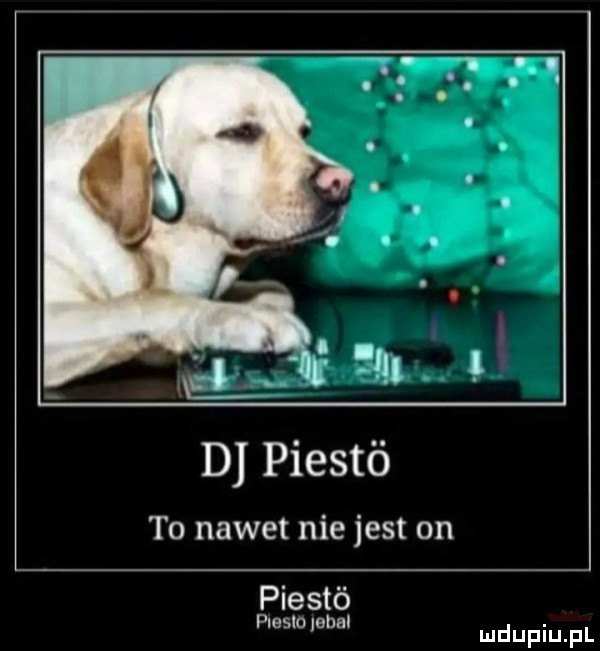 d piestó to nawet nie jest on prest o pleslolebal