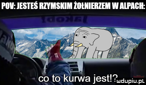 piw estes miski żliłiiieiilei wag co to kucha jest pi pl