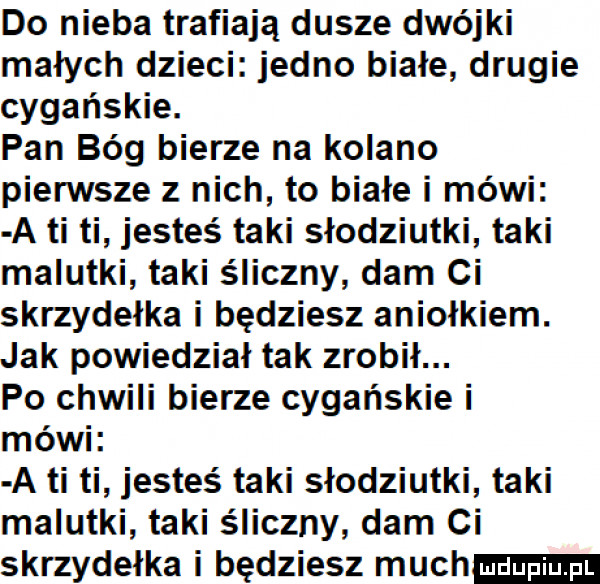 do nieba trafiają dusze dwójki małych dzieci jedno białe drugie cygańskie. pan bóg bierze na kolano pierwsze z nich to białe i mówi a ti ti jesteś taki słodziutki taki malutki taki śliczny dam ci skrzydełka i będziesz aniołkiem. jak powiedział tak zrobił. po chwili bierze cygańskie i mówi a ti ti jesteś taki słodziutki taki malutki taki śliczny dam ci skrzydełka i będziesz much