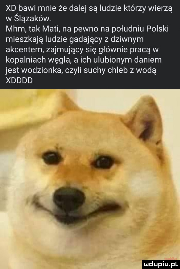 xd bawi mnie że dalej są ludzie którzy wierzą w ślązaków. mhm tak maci na pewno na południu polski mieszkają indzie gadający z dziwnym akcentem zajmujący się głównie pracą w kopalniach węgla a ich ulubionym daniem jest wodzionka czyli suchy chleb z wodą xdddd   ludu iu. l
