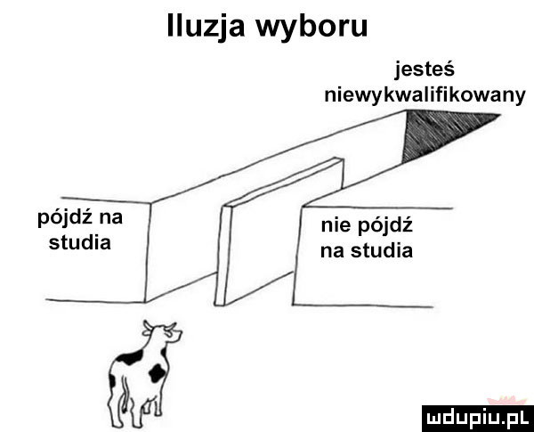 iluzja wyboru jesteś niewykwalifikowany pójdź na studia nie pójdź na studia w
