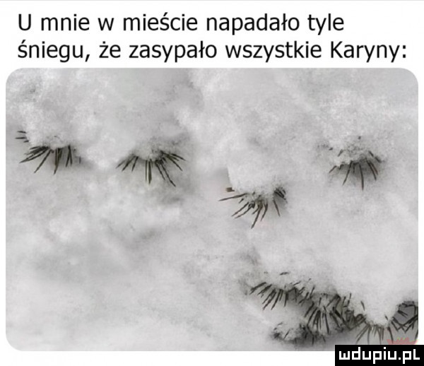 u mnie w mieście napadało tyle śniegu że zasypało wszystkie karyny agi wś mduplu pl