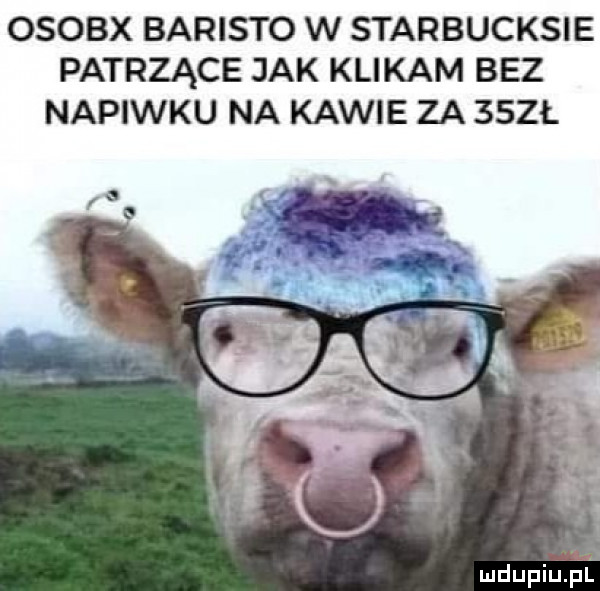 osobx baristo w starbucksie patrzące jak klikam bez napiwku na kawie za    ł