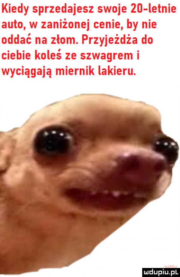 Obrazek