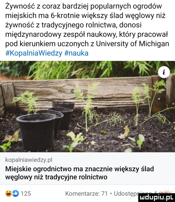żywność z coraz bardziej popularnych ogrodów miejskich ma   krotnie większy ślad węglowy niż żywność z tradycyjnego rolnictwa donosi międzynarodowy zespól naukowy który pracował pod kierunkiem uczonych   university of michigan kopalniawiedzy nauka kopalniawmdzypl miejskie ogrodnictwo ma znacznie większy ślad węglowy niż tradycyjne rolnictwo       komentarze    udostęp luduhiu pl