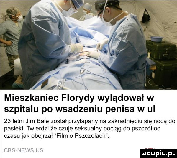 ian. mieszkaniec florydy wylądował w szpitalu po wsadzeniu penisa w ul    letni jim bale został przyłapany na zakradnięciu się nocą do pas ebi. twierdzi ze czuje seksualny pociąg do pszczół od czasu jak obejrzał film   pszczołach. lu daupiupl