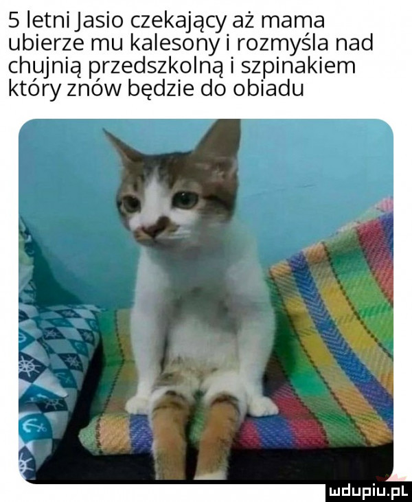 letni jasio czekający aż mama ubierze mu kalesonki rozmyśla nad chujnią przedszkolną i szpinakiem który znów będzie do obiadu