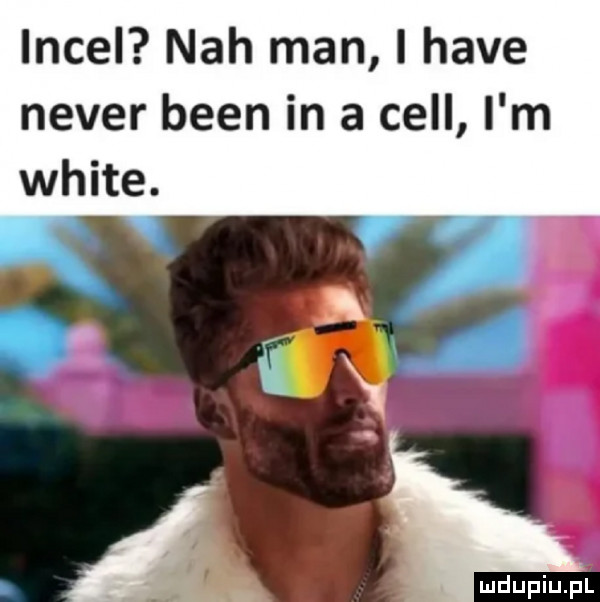 incel nah man i hace neper bean in a cell i m white. i