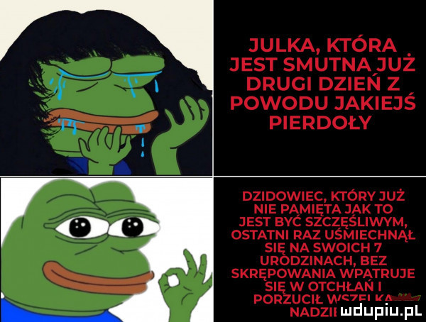 julka która jest smutnaijuz drugi dzien z powodu jakiejs pierdoły dzikowiec ktorv juz nie pamięta jak to jest bbc szczęsliwvm ostatni raz uśmiechnąl się na swoich   urodzinach bez skrępowania wpatruje się w otchłan i ponzucn. w a nadzi mduplu pl