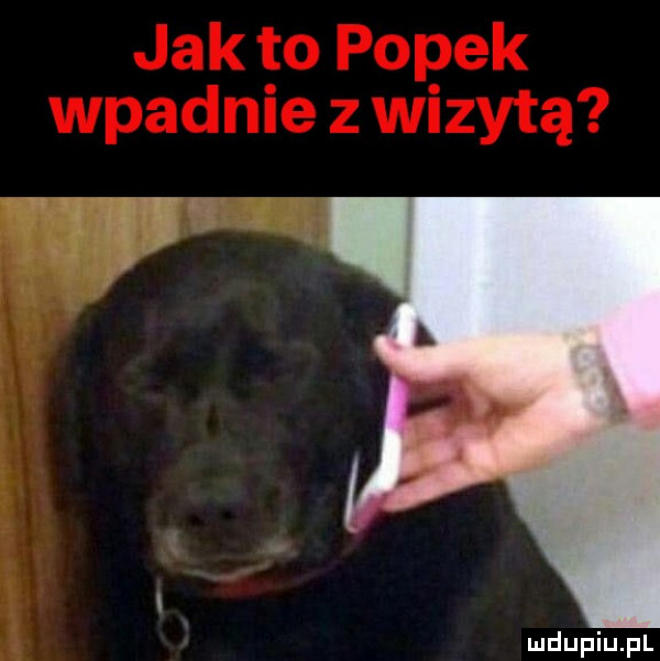 Obrazek