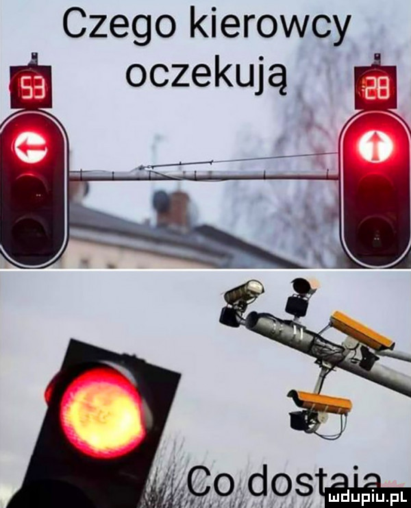 czego kierowcy oczekują