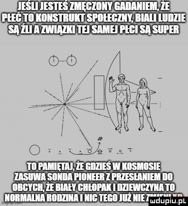 jalu sam nzmmmsmen r iﬂllllll illlllilillg halli lolem al   ﬁ  l