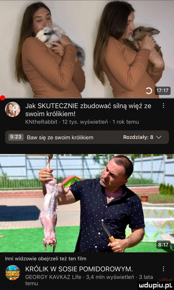 jak skutecznie zbudować silną więź ze i. abakankami swoim królikiem knlherabbit    tys. wyświetleń i rok temu      baw się ze swoim królikiem rozdziały   v inni widzowie obejrzeli leż ten film królik w sosie pomidorowym. györgy kaukaz lice     mln wyświetleń   lala temu