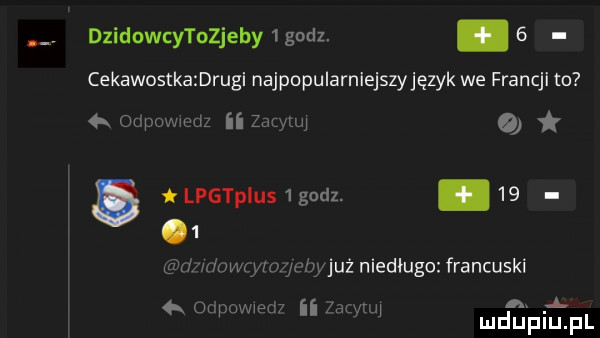 dzidowcytoneby   godz. abakankami   cekawostka drugi najpopularniejszyjęzyk we francji to owwcci ii zucmq. lpgtpluu godz.      w max iuyciu już niedługo francuski   ogum  . xr n h w mduplu pl