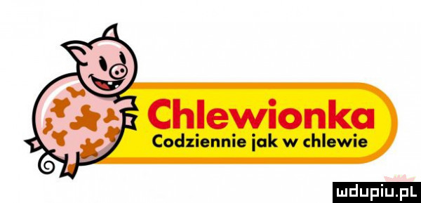 chlewionka codziennie idk w hlewie ludu iu. l