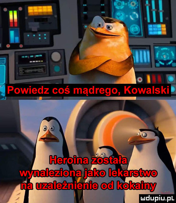 powiedz coś mądrego kowalski heroida żostał a wynalezionajako olejarstwo n. a uzależnie m e od kokainy