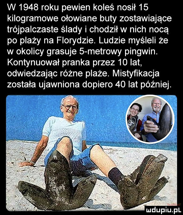 w      roku pewien koleś nosił    kilogramowe ołowiane buty zostawiajace trójpalczaste ślady i chodzil w nich nocą po plaży na florydzie. ludzie myśleli że w okolicy grasuje   metrowy pingwin. kontynuował pranka przez    lat odwiedzając różne plaże. mistyfikacja została ujawniona dopiero    lat péz niej