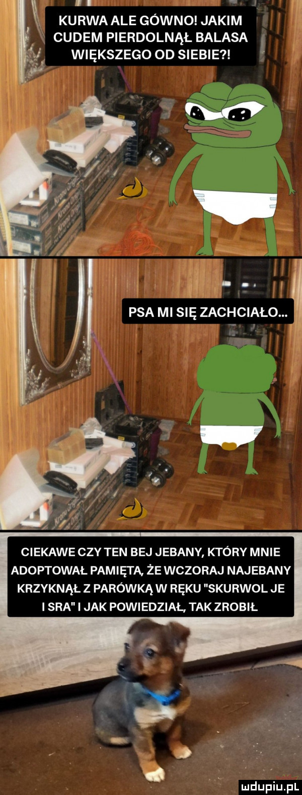 i in kurwa ale gówno jakim cudem pierdolnął balasa i i i większego od siebie. l m. abakankami  . psa mi się zachciało. abakankami ciekawe czy ten bej jebany który mnie adoptował pamięi ą że wczoraj najebany krzyknął z parówką w ręku skurwol je i sra i jak powiedział tak zrobil