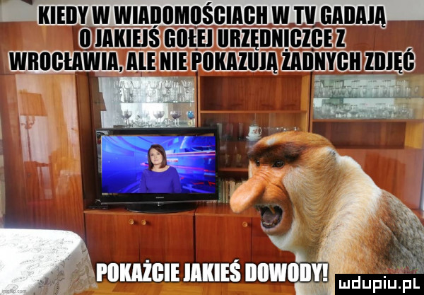 kiedyw wiadomdśgiagh w ibl ładna ll iakieiś galli iiihęiinigigez wrocławia ale nie fokaiiiia żallnygłi lilięś