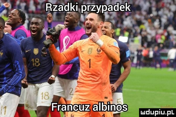 Obrazek