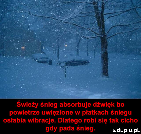 świeży śnieg absorbuje dźwięk bo powietrze uwięzione w płatkach śniegu osłabia wibracje. dlatego robi się tak cicho gdy pada śnieg. mdupiu pl