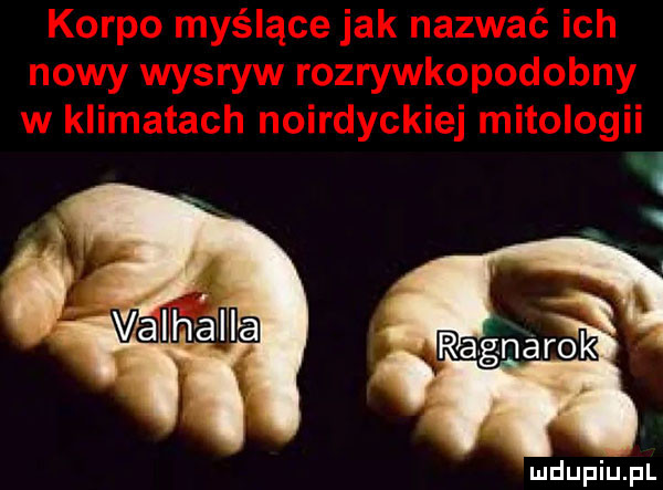 i i  iriiaignarcęi i