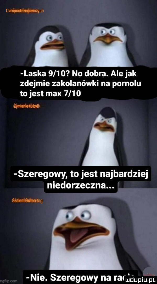 dimm laska      no dobra. ale jak zdejmie zakolanówki na pornolu to jest max     o a. szeregowy to jest najbardziej niedorzeczna. admin mg nie. szeregowy na raciaupiﬁiﬁ