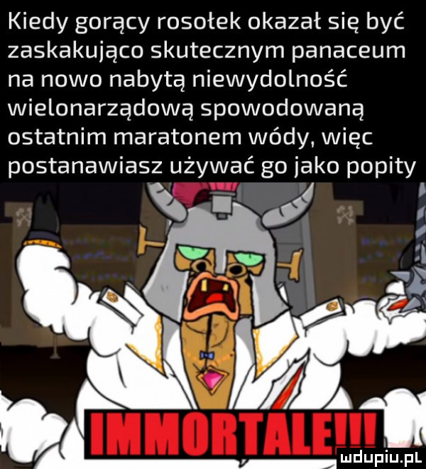 kiedy gorący rosołek okazał się być zaskakująco skutecznym panaceum na nowo nabytą niewydolność wielonarządową spowodowaną ostatnim maratonem wódy więc postanawiasz używać go jako popity