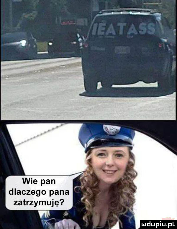 wie pan dlaczego pana zatrzymuję