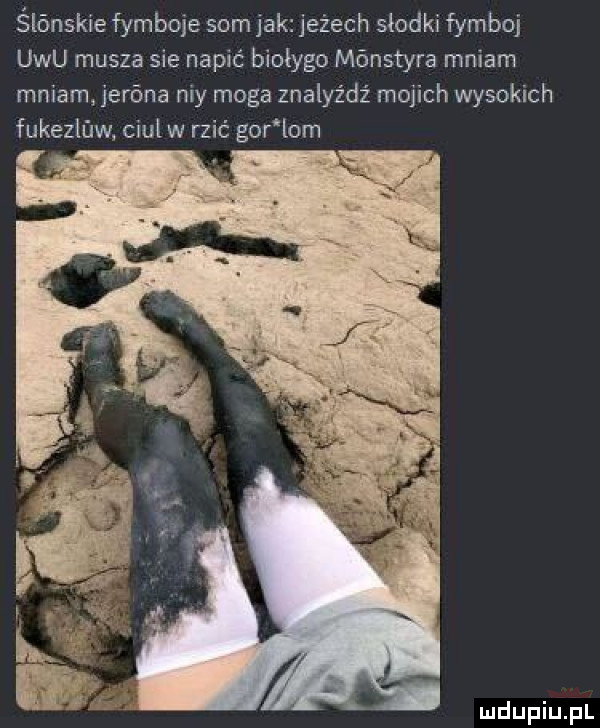 ślónskie fymboje som jak jeżach słodki fymboj ubu musza sie napić biołygo mﬁnstyra mniam mniam jeróna ney moga znalyźdź mojich wysokich fukezlﬂw. ciul w raić gor lom