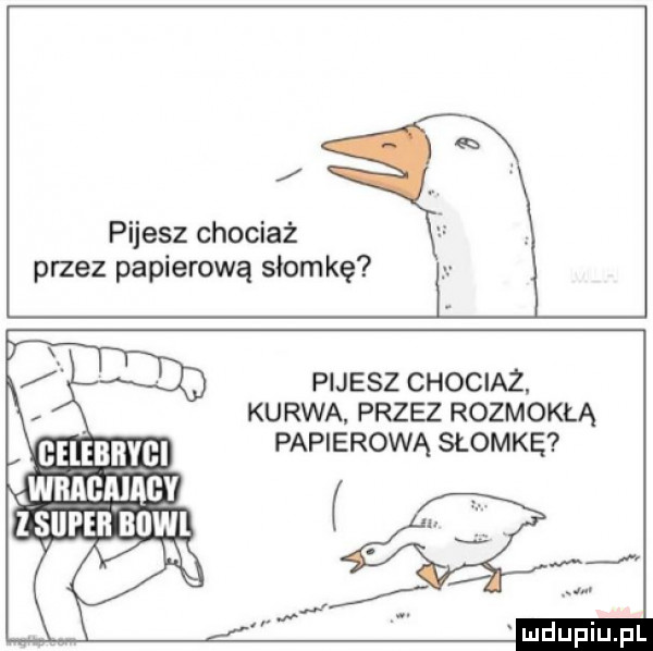 pijesz chociaż przez papierową słomkę. pijesz chociaż. kurwa. przez rozmokłą gelebbygi papierową słomkę wnncąmcv qm z