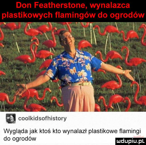 a coolkidsofhistory wygląda jak ktoś kto wynalazł plastikowe flamingi do ogrodów