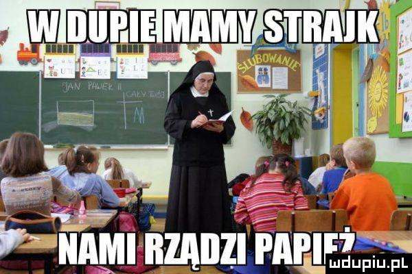 w nami bzaiizl able l