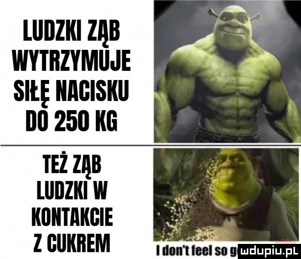 lllilzki ząb wytrzymuje siłę nagiskli iii     kg też zan lllilzki w kontakcie ż. zcuunem